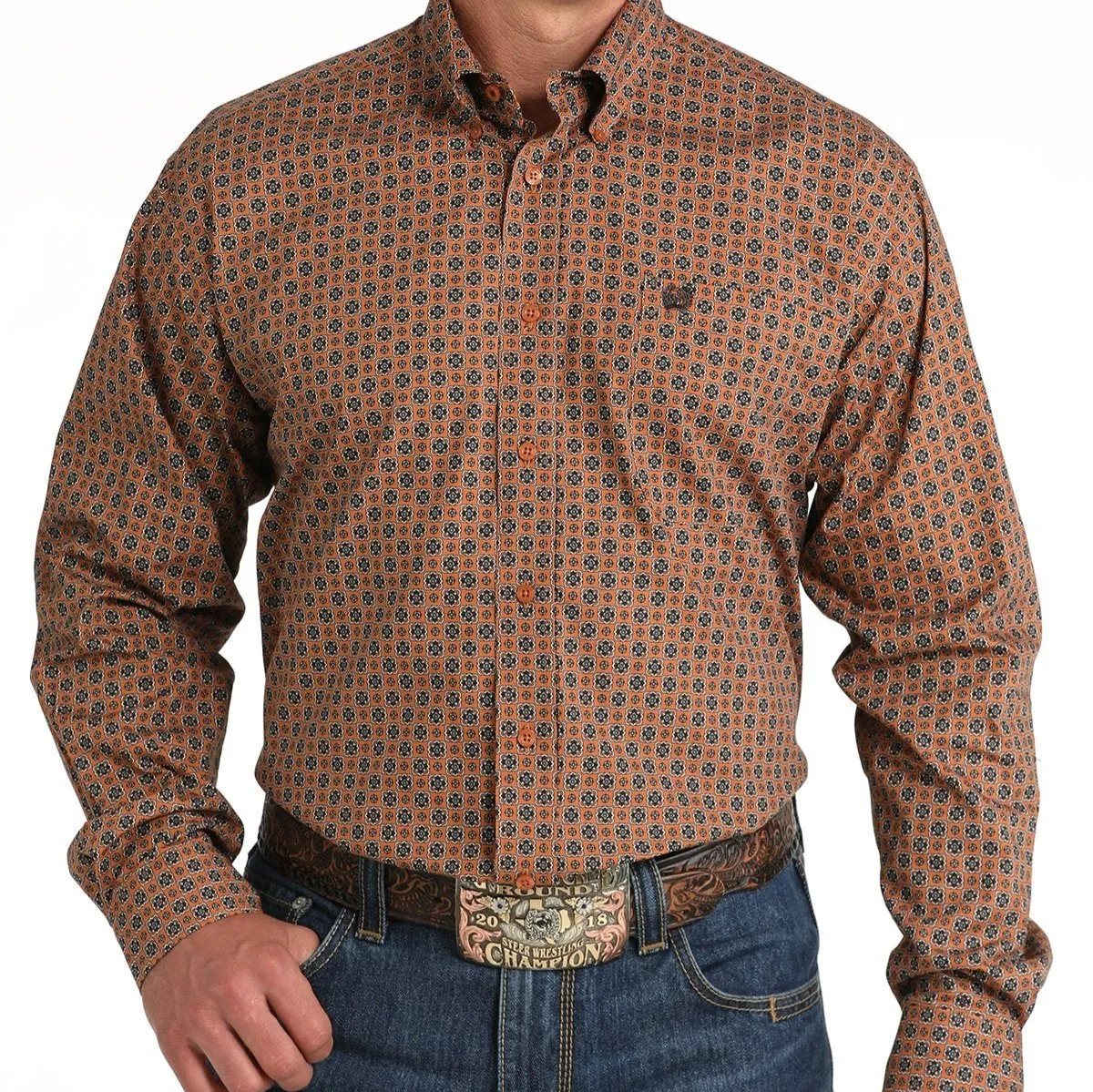 Cinch Men's Classic Fit Floral Geometric Western Button Down Shirt in Gold Job Interview