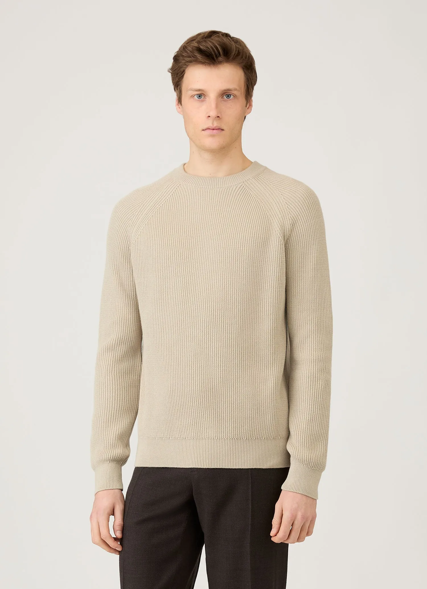 Odor Resistant Treatment Men's Ribbed Jumper in Mink