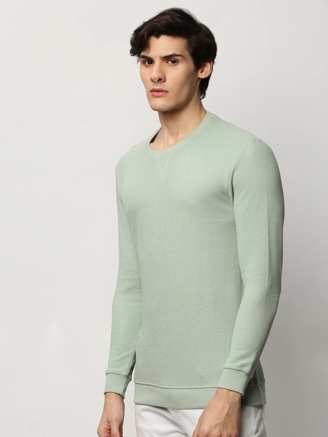 Modern Bold ethnic print Men's Sea Green Round Neck Self Design Cotton Sweatshirt
