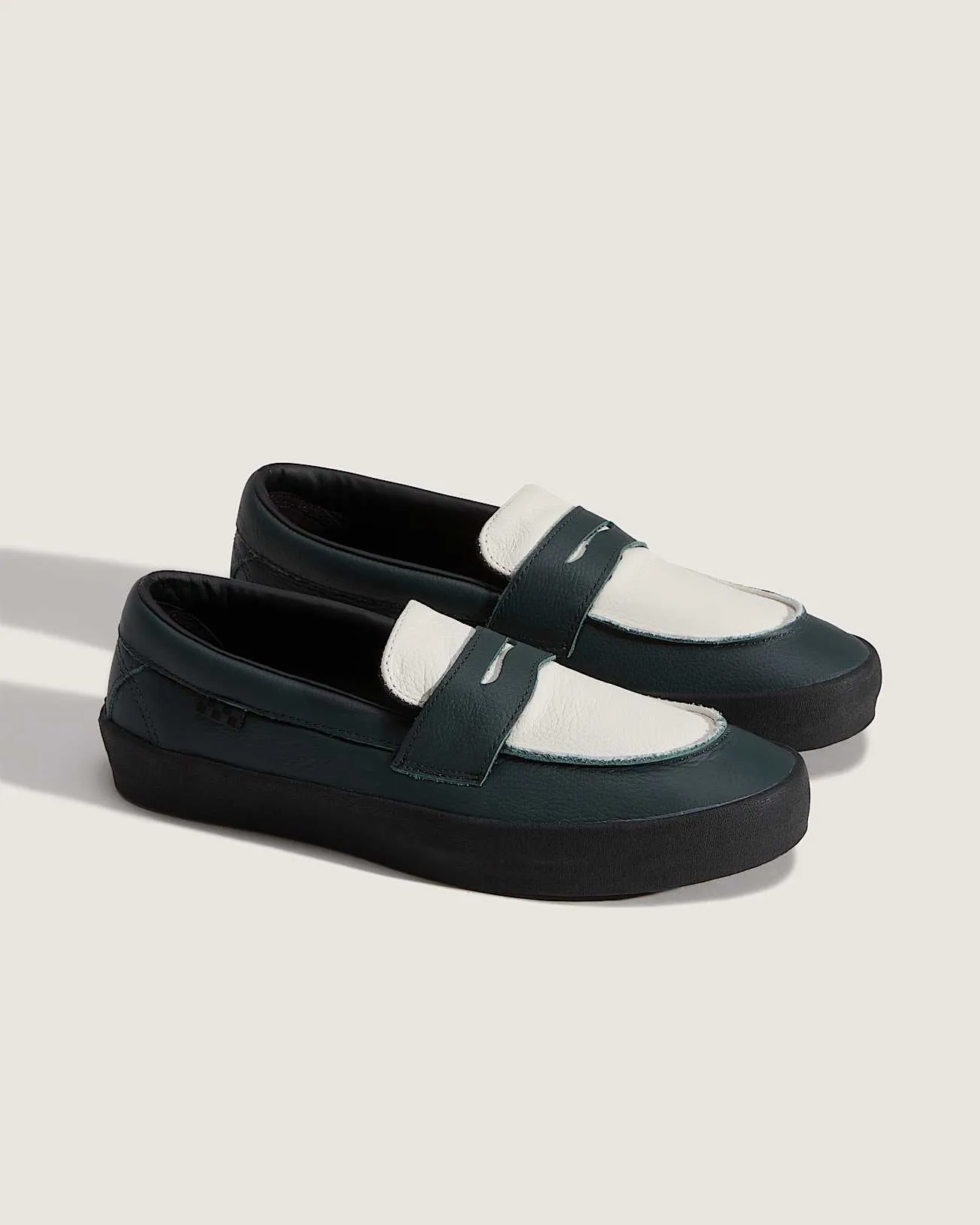 Comfortable Support Vans Skate Loafer