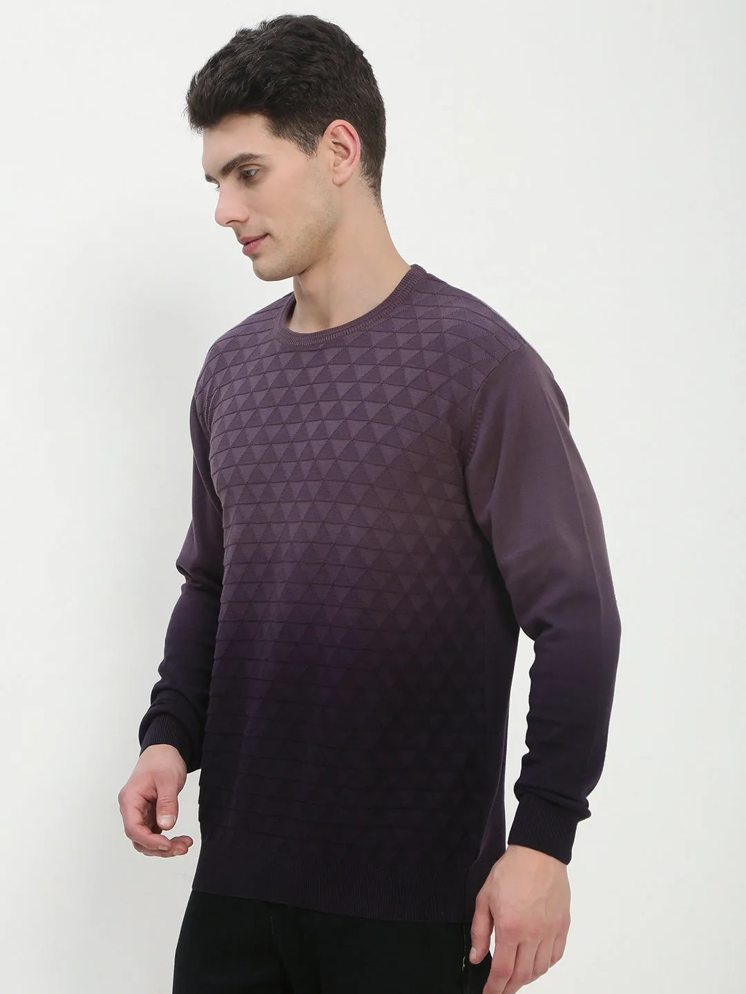 Cozy Interior Fleece FineGauge Knit Men's Purple Ombre Sweater