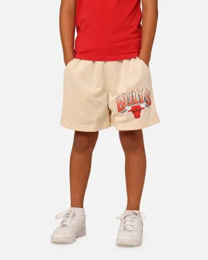 Quick Fit Wear Crisp Texture NBA Kids' Chicago Bulls Newark Mesh Shorts Light Oat