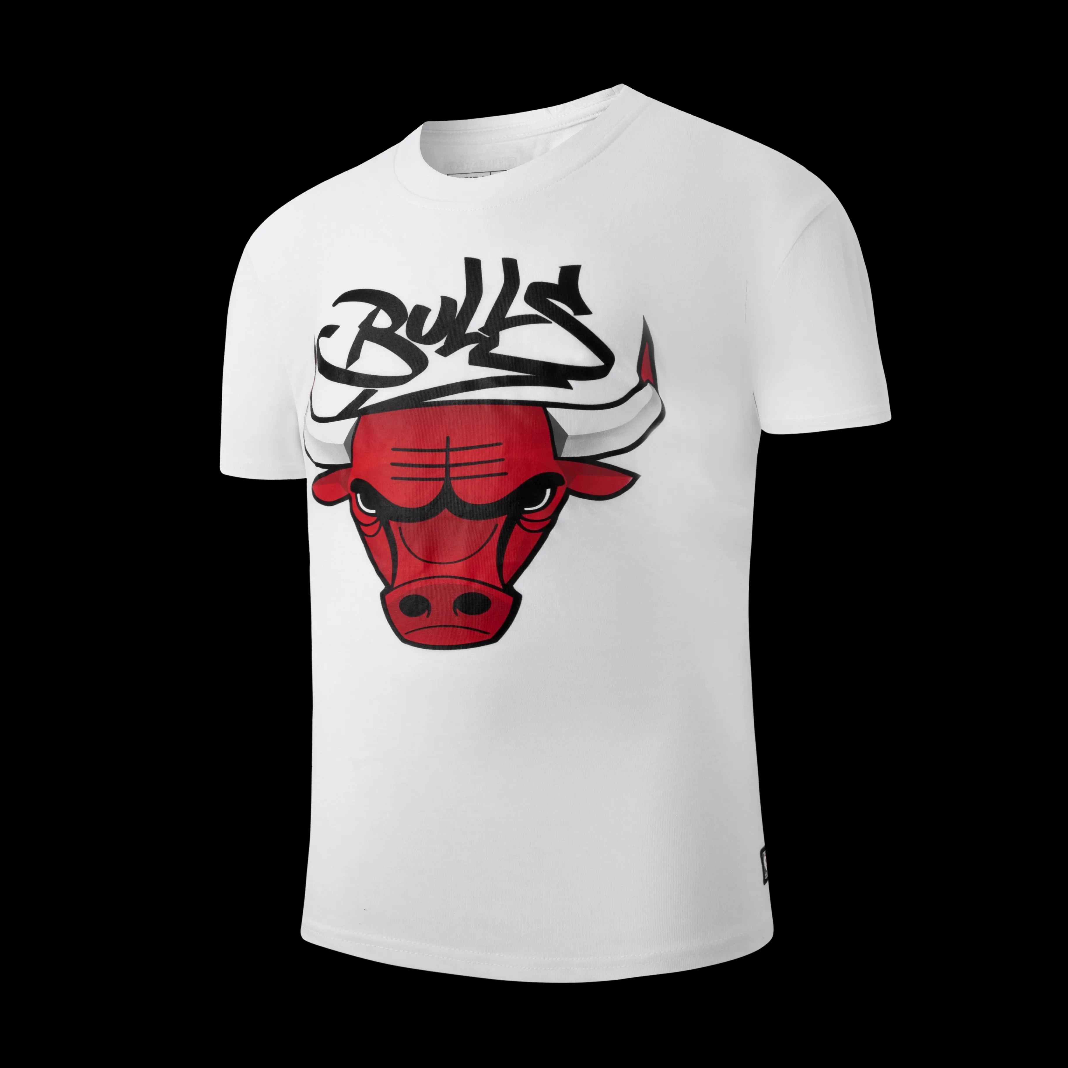 NBA Front Print Regular Fit T-Shirt - BULLS Unisex style