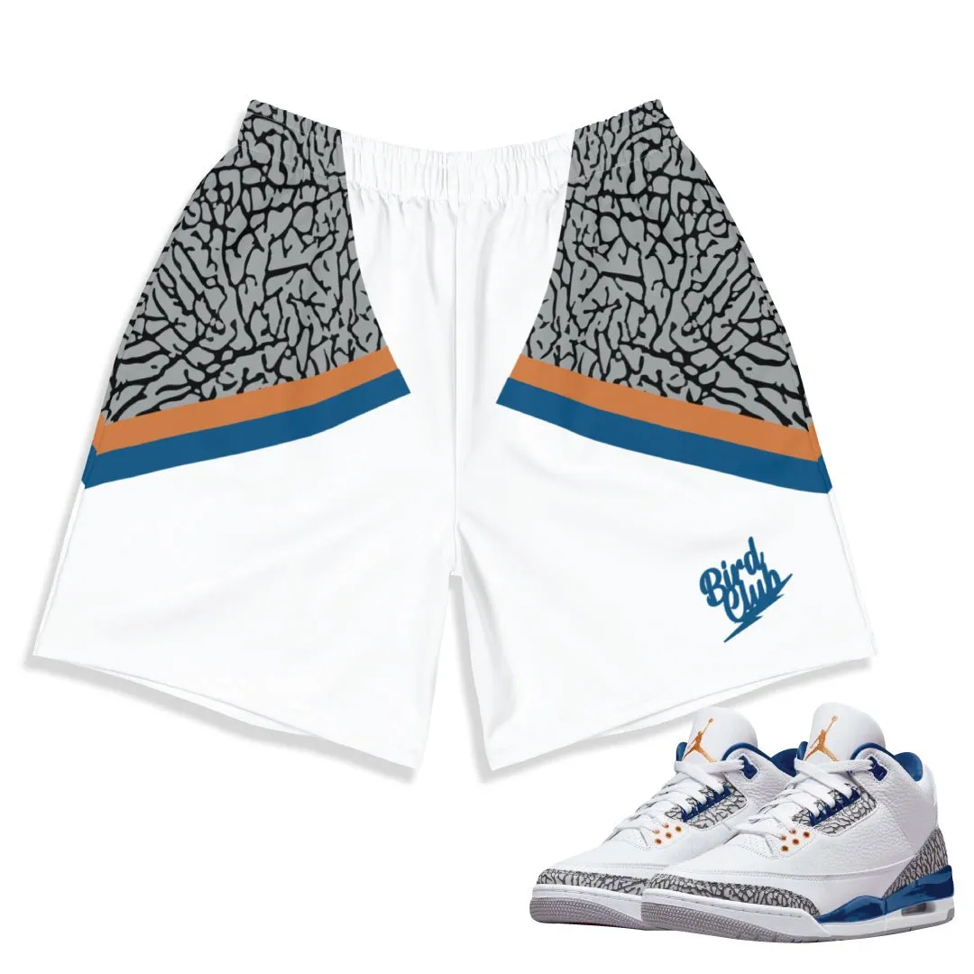 Retro 3 Wizards PE Cement Shorts teenagers
