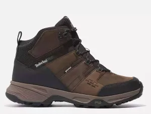 Antistatic Paced Walk Men's Switchback Shoe In Brown/green