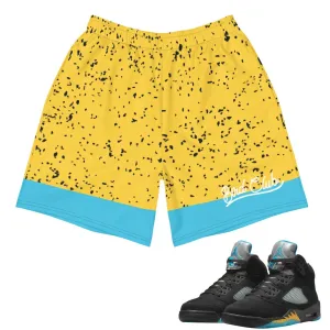 Retro 5 Aqua Shorts Light Reflective Trim Light Coverage