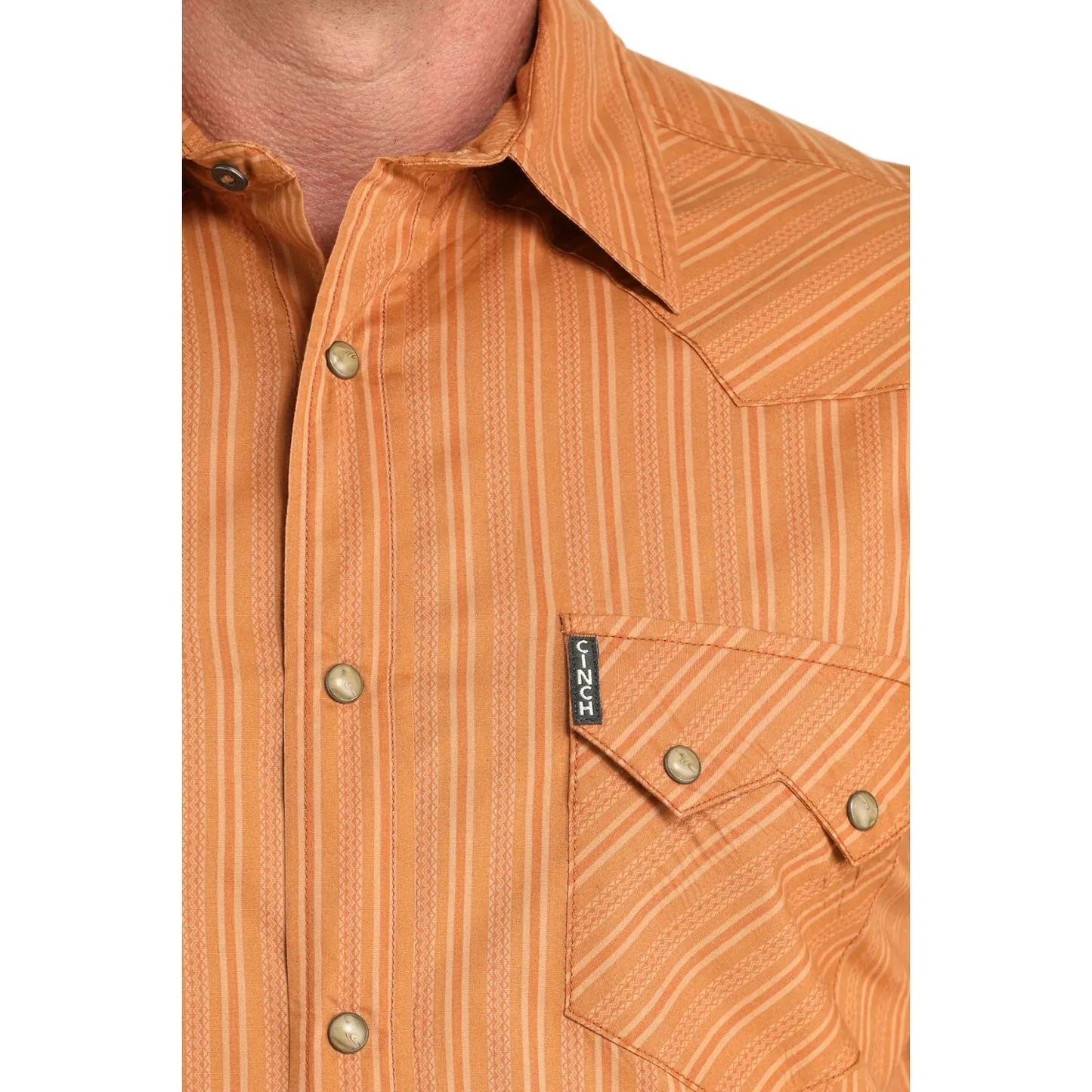 Essential Top Casual Performance Cinch Men's L/S Modern Fit Stripe Western Snap Shirt in Brown