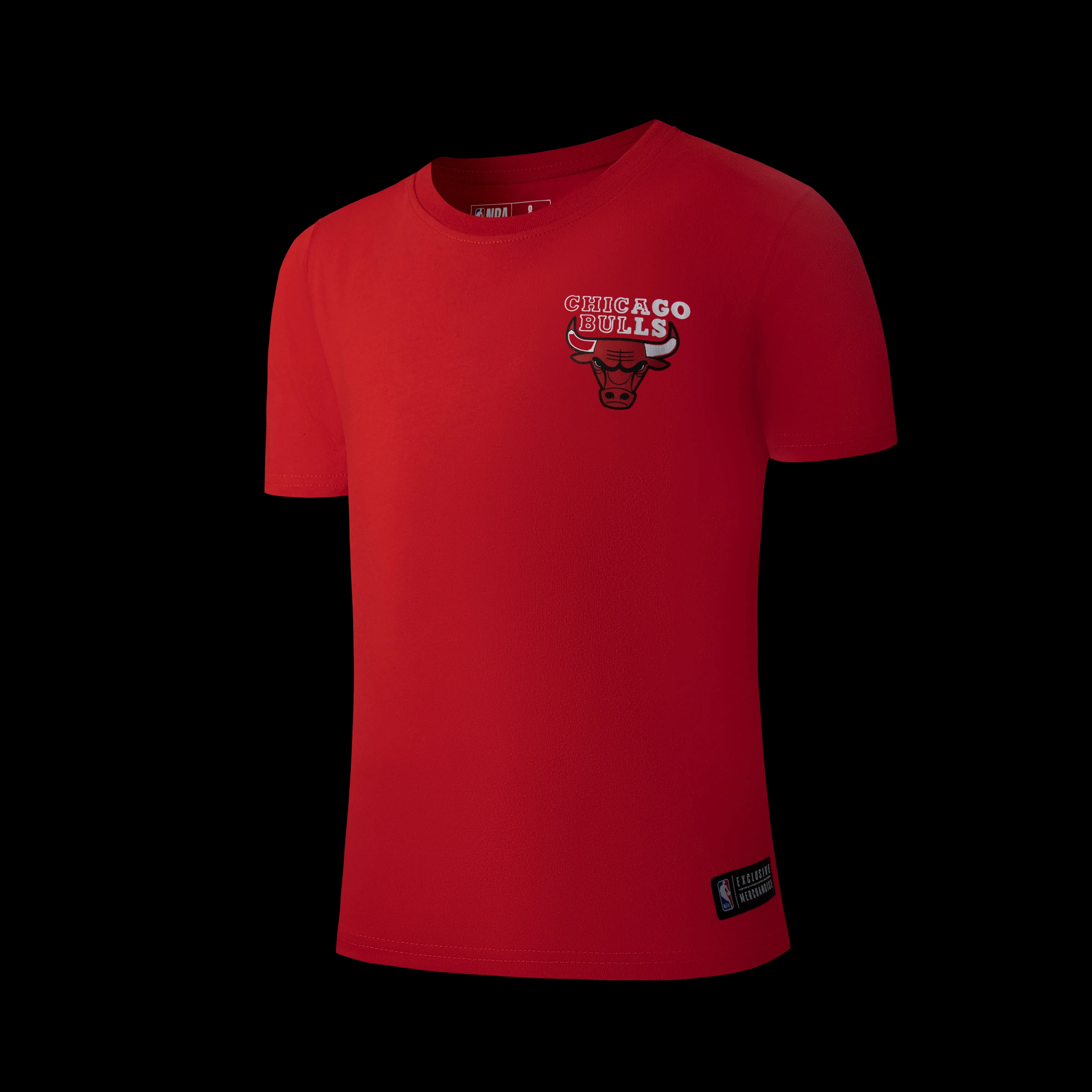 Bold Colorway NBA Back Gradient Print Regular Fit T-Shirt - Chicago Bulls