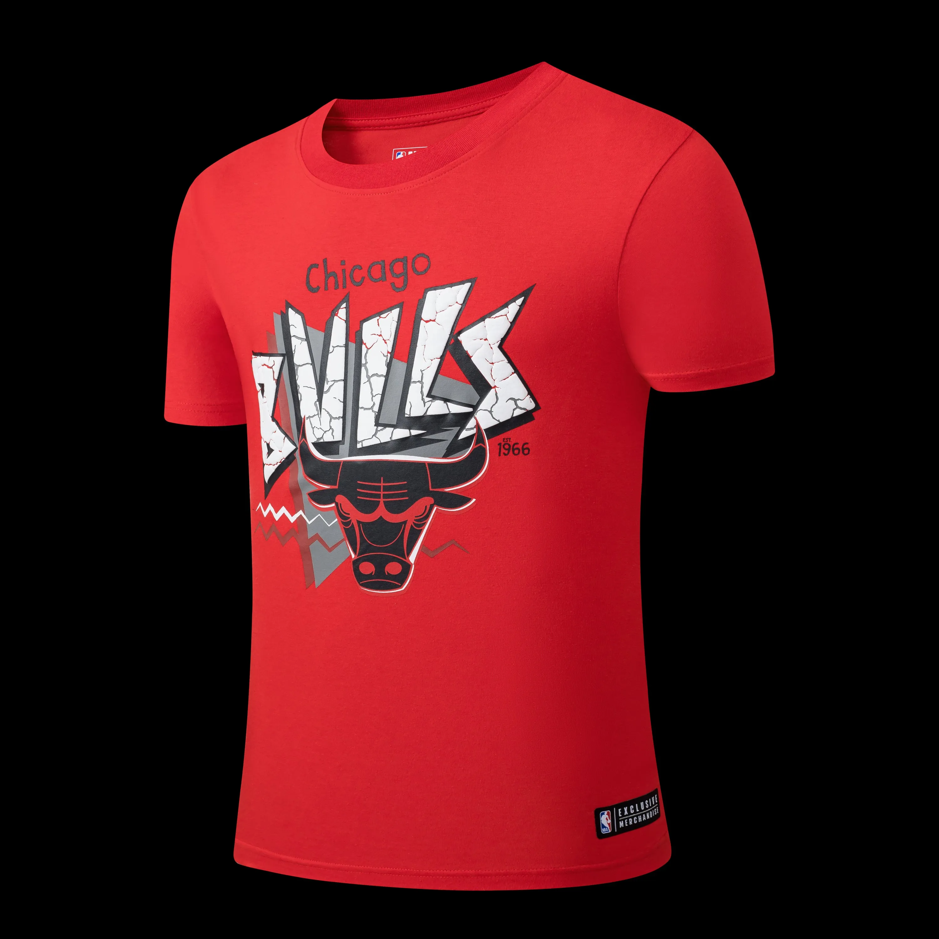 NBA Chicago Bulls Front Cracked And Puff Print Regular Fit Sport Inspired