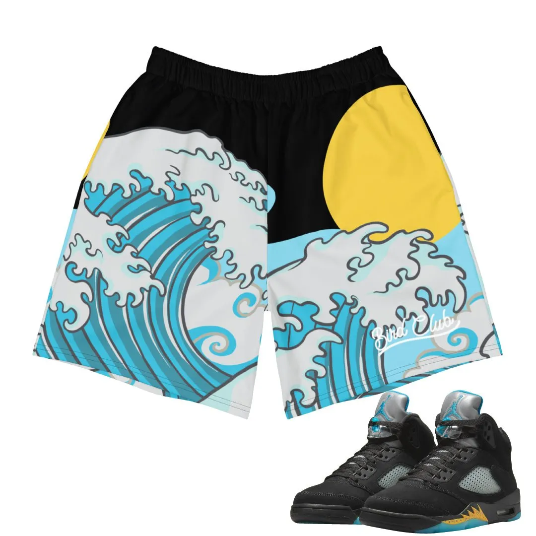 hikers Retro 5 Aqua Shorts