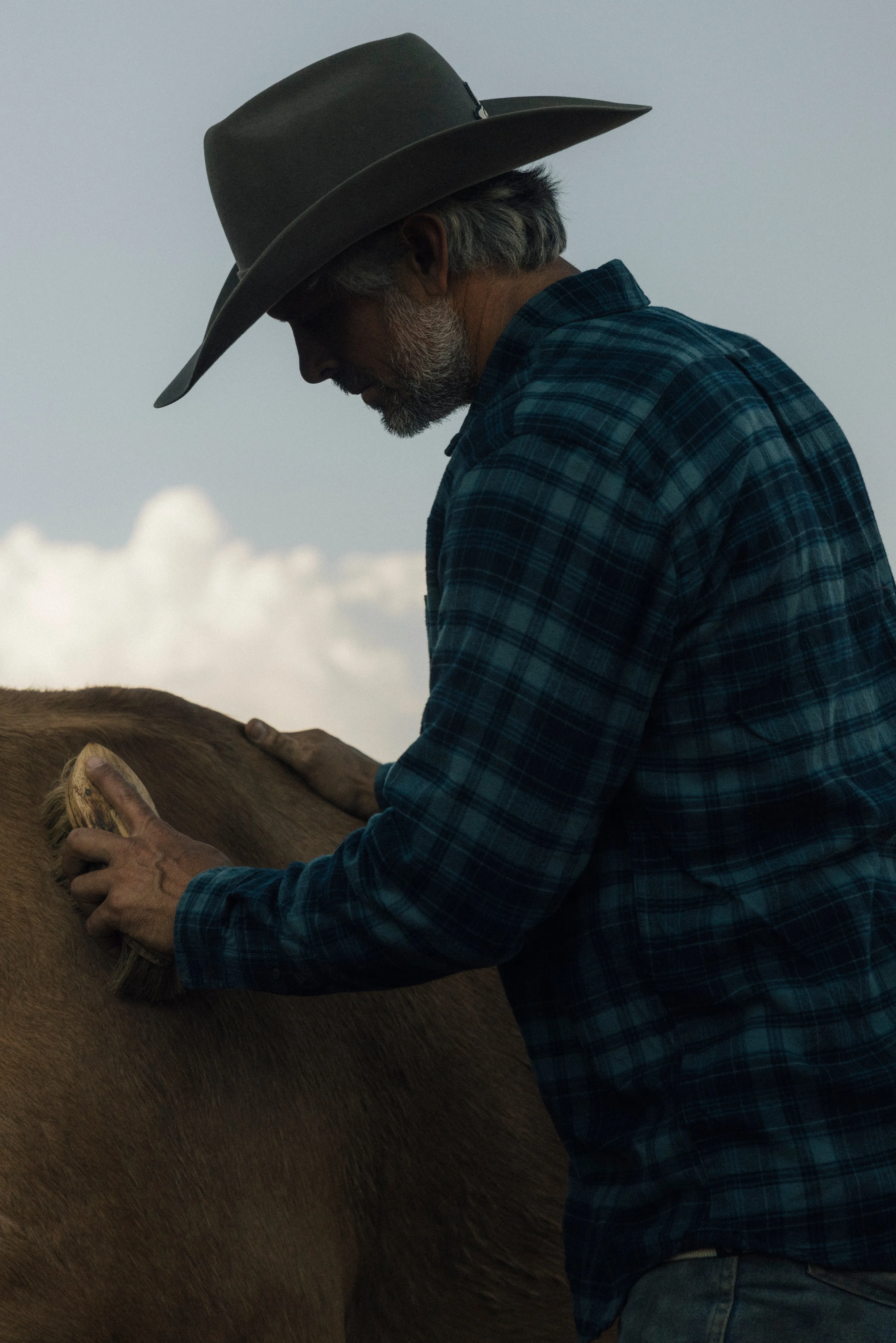 Shady Grove Stretch Flannel - Green Pine Summer Comfort