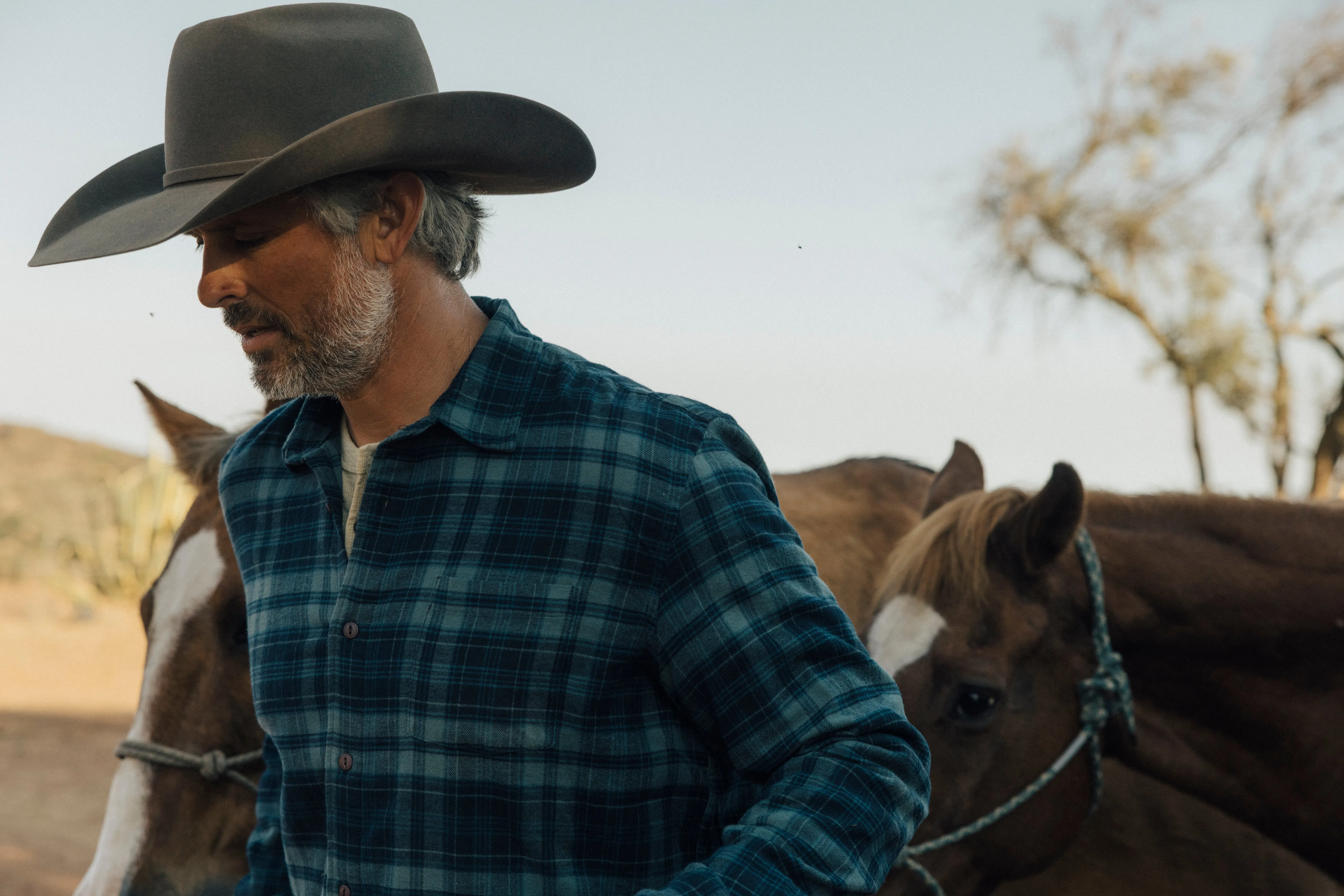 Shady Grove Stretch Flannel - Green Pine outdoor concert